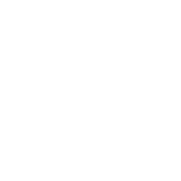 Sahin IT Solution
